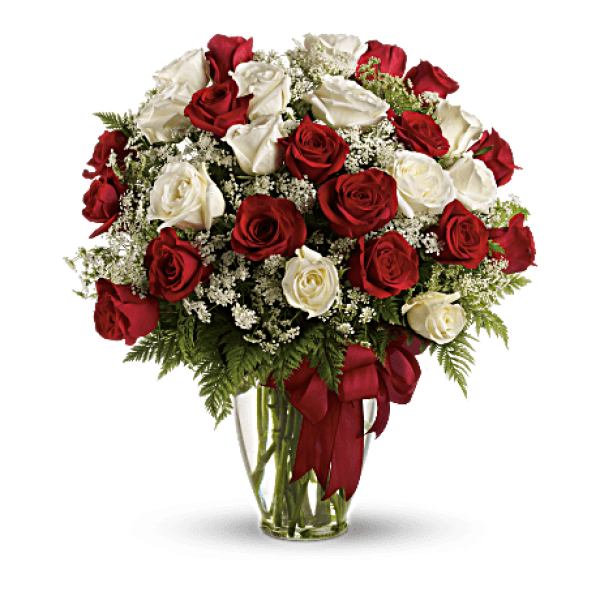 Dazzling Red Roses