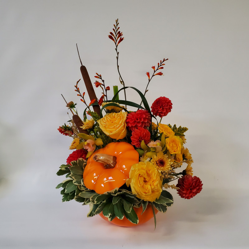 Pumpkin Dream - Same Day Delivery