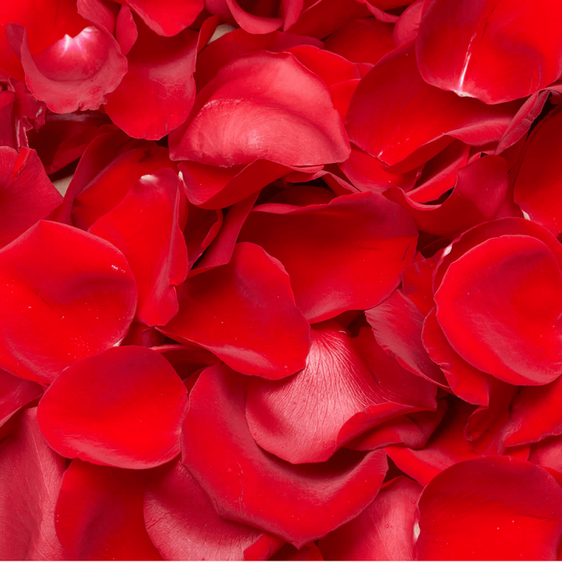 Rose Petals - Same Day Delivery